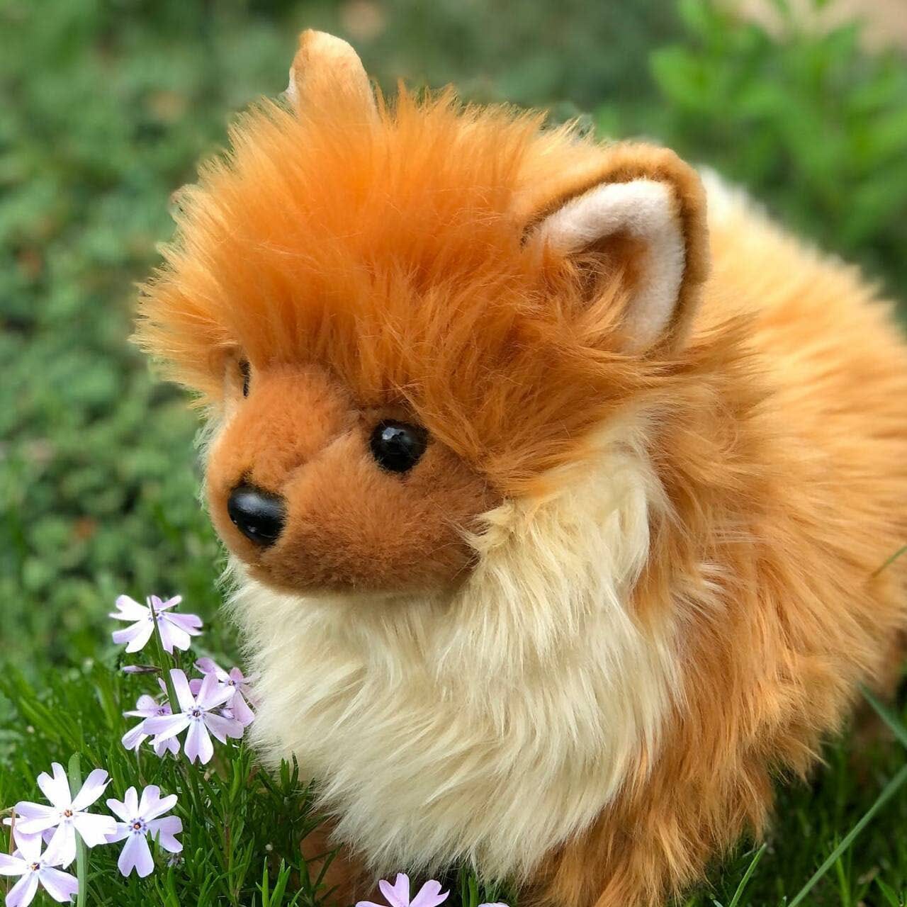 Peluche Spitz - Pommy